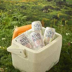 cooler ice cans outdoor nature nivo