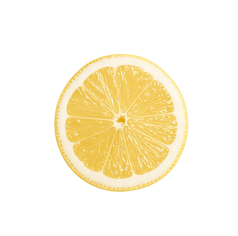 lemon-slice-citrus-texture-studio