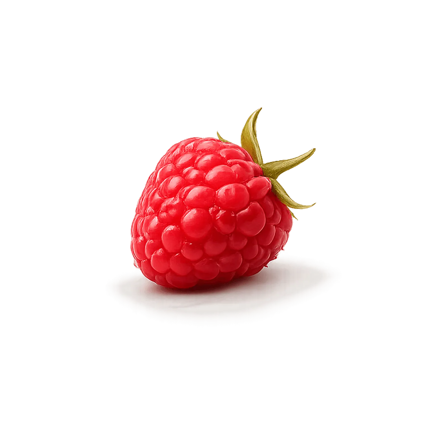 raspberry-closeup-studio-shadow-nivo