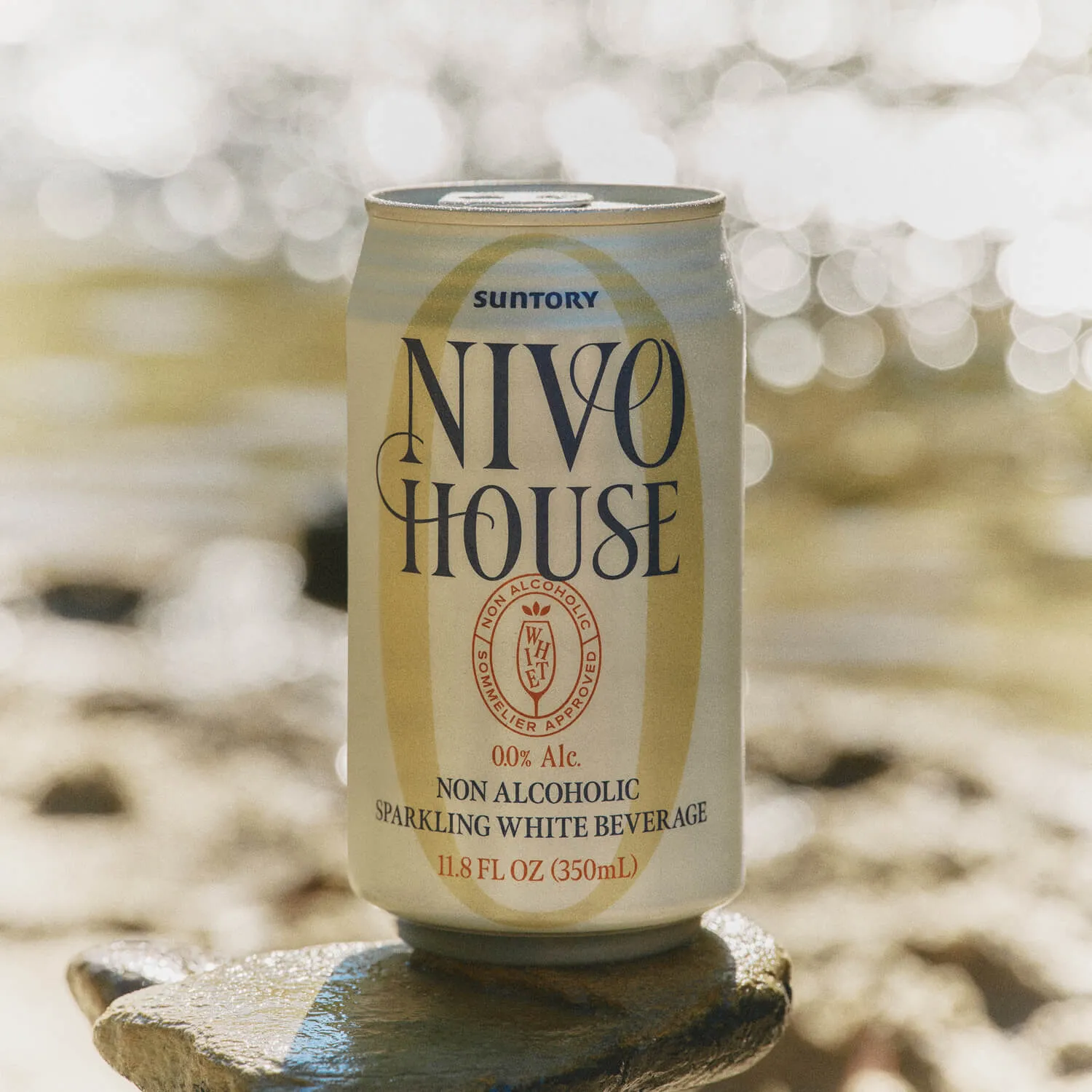 Sparkling White Can Outdoor Rock Surface Sunlight Bokeh Background Nivo